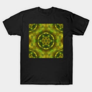 Magnificent fractal mandala T-Shirt